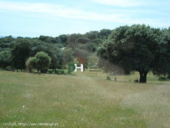 Solar en venta en Cáceres (Cáceres)