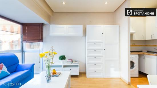 Alegre apartamento de 1 dormitorio con aire acondicionado en alquiler en Salamanca - MADRID