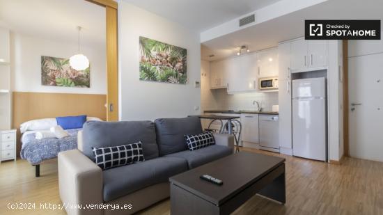 apartamento de 1 dormitorio con calefacción central y aire acondicionado para el alquiler en el cen