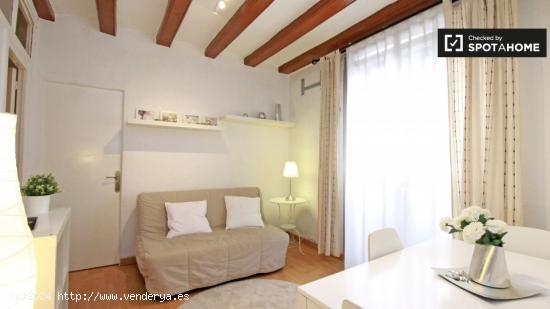 Encantador apartamento de 2 dormitorios en alquiler en El Raval - BARCELONA