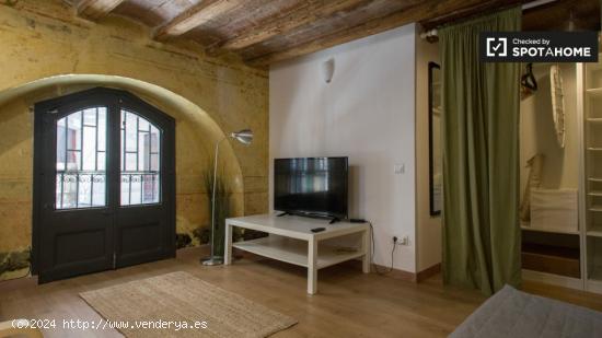 Precioso apartamento estudio en alquiler en El Raval - BARCELONA