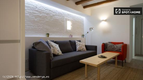 Amplio y moderno apartamento de 2 dormitorios en alquiler en El Raval - BARCELONA