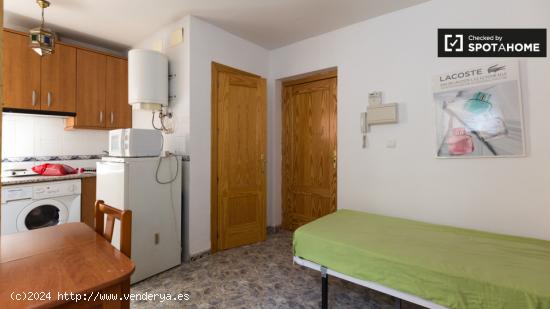 Acogedor estudio en alquiler en Barrio de la Magdalena - GRANADA