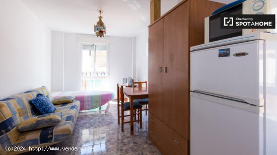 Estudio con balcones en alquiler en Centro - GRANADA