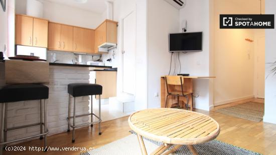 Piso de 1 habitación con 3 balcones en alquiler en Embajadores - MADRID