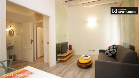 Encantador apartamento de 2 dormitorios con balcones en alquiler en Gotico - BARCELONA