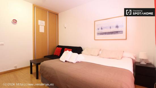 Apartamento estudio bien amueblado en alquiler en Lavapiés - MADRID