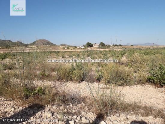 TERRENO AGRICOLA CON AGUA DE RIEGO Y CULTIVOS - ALICANTE