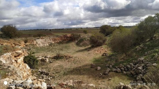 Venta de Terreno en Carretera Campo Real - Carabaña. 16651 m²