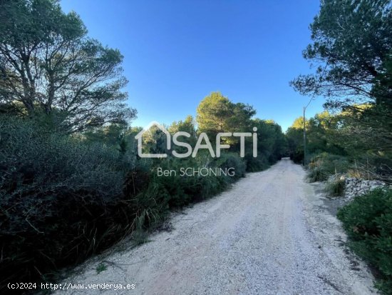 Parcela Rustica de 15000 m2 en Cala Morell