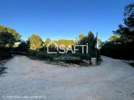 Parcela Rustica de 15000 m2 en Cala Morell