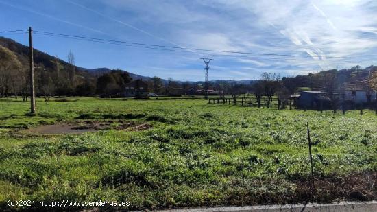  TERRENO RUSTICO EN LLOREDA DE CAYON - CANTABRIA 