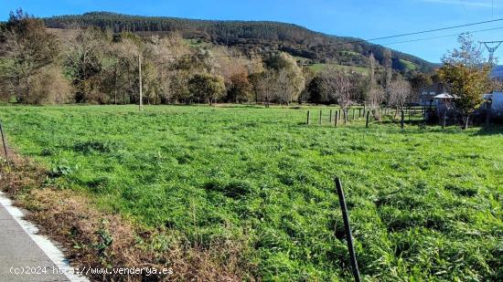 TERRENO RUSTICO EN LLOREDA DE CAYON - CANTABRIA