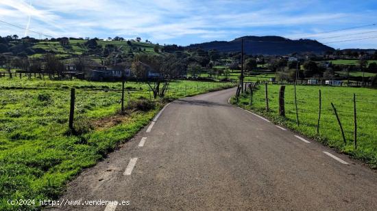 TERRENO RUSTICO EN LLOREDA DE CAYON - CANTABRIA