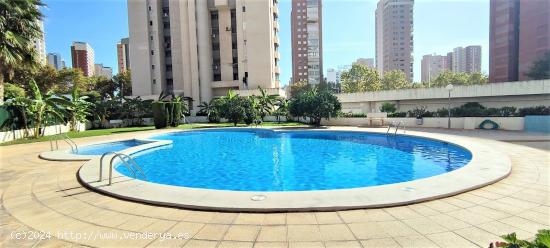  SE VENDE ATICO DE DOS DORMITORIOS CON TERRAZA DE 70 METROS EN BENIDORM LEVANTE - ALICANTE 