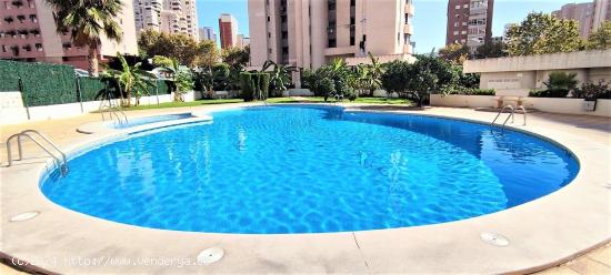 SE VENDE ATICO DE DOS DORMITORIOS CON TERRAZA DE 70 METROS EN BENIDORM LEVANTE - ALICANTE