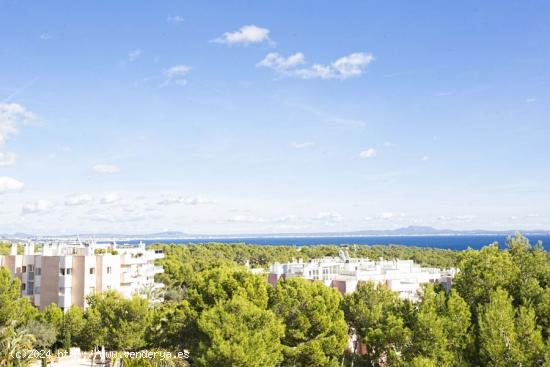 ÁTICO EN SOL DE MALLORCA CON GRAN TERRAZA Y VISTAS A LA BAHÍA - BALEARES