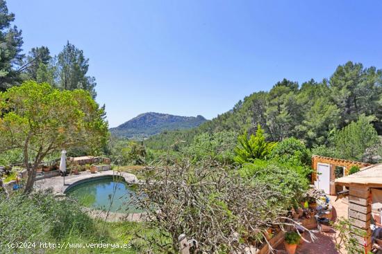 GRAN OPORTUNIDAD DE CASA DE PUEBLO CON PISCINA CON MUCHO POTENCIAL EN CAPDELLA - BALEARES