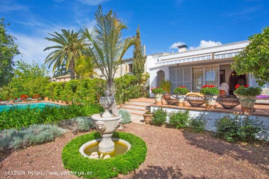 CASA DE PUEBLO MALLORQUINA CON GRAN POTENCIAL EN ESPECTACULAR UBICACIÓN EN CALVIA PUEBLO - BALEARES