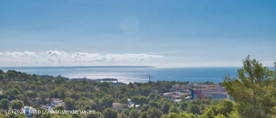 Villa de lujo con vistas al mar en Costa den Blanes - BALEARES