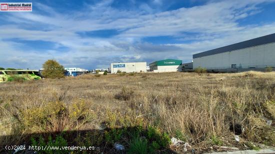 Industrial Madrid presenta este terreno en Getafe. - MADRID