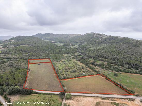  TERRENO RÚSTICO EN CAPDEPERA CON POSIBILIDADES DE EDIFICACIÓN - BALEARES 