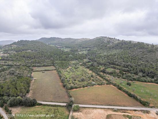 TERRENO RÚSTICO EN CAPDEPERA CON POSIBILIDADES DE EDIFICACIÓN - BALEARES