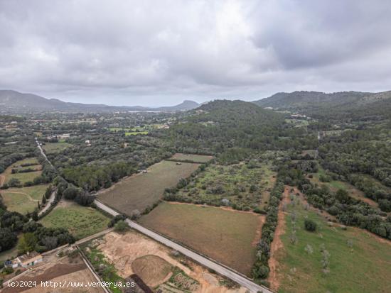 TERRENO RÚSTICO EN CAPDEPERA CON POSIBILIDADES DE EDIFICACIÓN - BALEARES