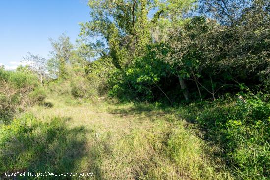 Terreno en venta en poligono 13 parcela 27, Riudecols - TARRAGONA