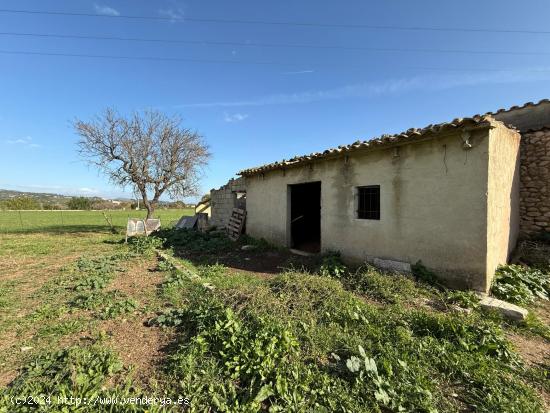  BONITO TERRENO CON CASETA EN EL PUEBLO DE SELVA - BALEARES 