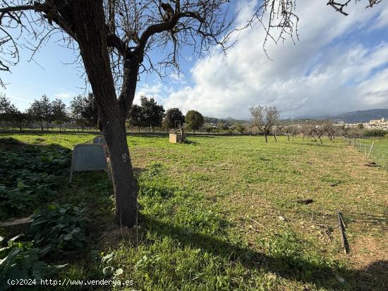 BONITO TERRENO CON CASETA EN EL PUEBLO DE SELVA - BALEARES