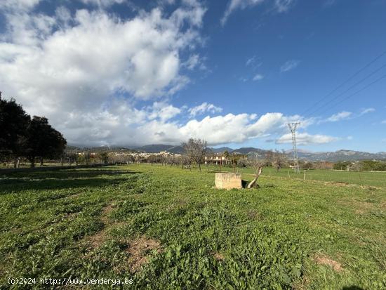 BONITO TERRENO CON CASETA EN EL PUEBLO DE SELVA - BALEARES