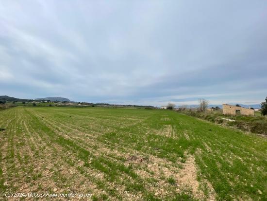 SE VENDE TERRENO EDIFICABLE EN MONTUIRI - BALEARES