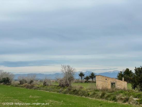 SE VENDE TERRENO EDIFICABLE EN MONTUIRI - BALEARES