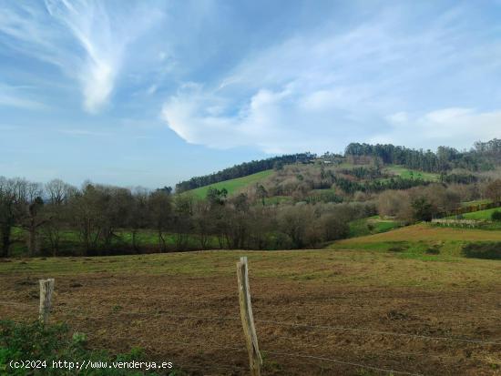 Oportunidad única Terreno Edificable en Siero - ASTURIAS