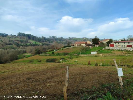 Oportunidad única Terreno Edificable en Siero - ASTURIAS