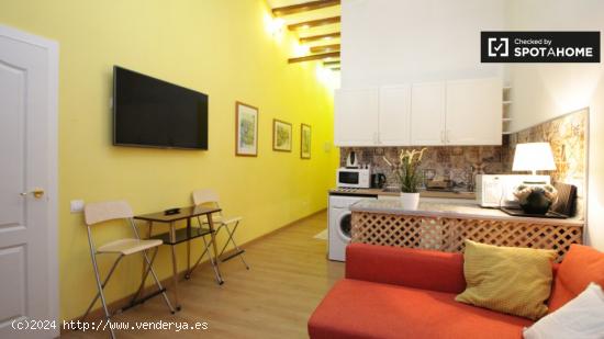 Elegante apartamento de 1 dormitorio con balcón en alquiler en Gotico - BARCELONA