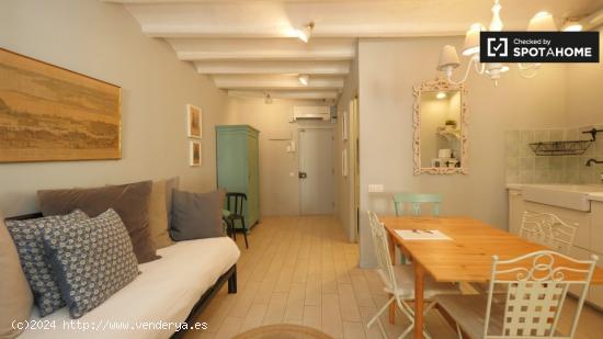 Elegante apartamento de 2 dormitorios en alquiler en Barri Gòtic, cerca de Plaça de Catalunya - BA