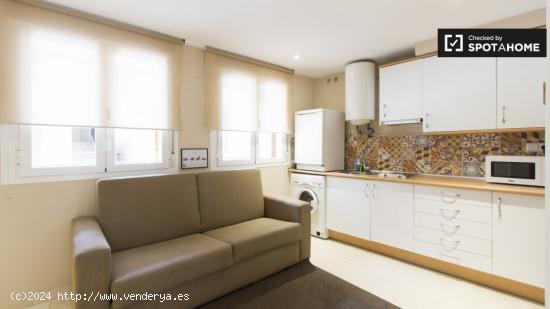 Luminoso apartamento de 1 dormitorio en alquiler en el centro de Madrid - MADRID