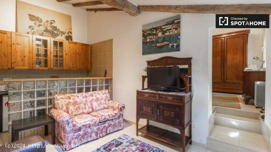 Hermoso apartamento de 1 dormitorio en alquiler en La Latina. - MADRID