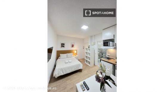 Luminoso apartamento estudio en alquiler en Moncloa - MADRID