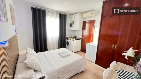 Lindo y acogedor estudio en alquiler en Moncloa - MADRID