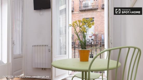 Elegante apartamento estudio con balcón y aire acondicionado en alquiler cerca del Museo del Prado 