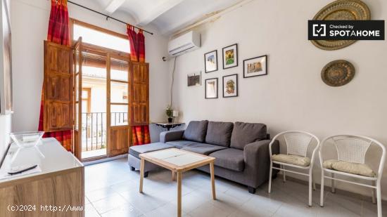 Encantador apartamento de 1 dormitorio en alquiler en Ciutat Vella - VALENCIA