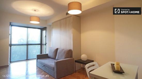 Piso de 1 dormitorio en alquiler en Madrid - MADRID