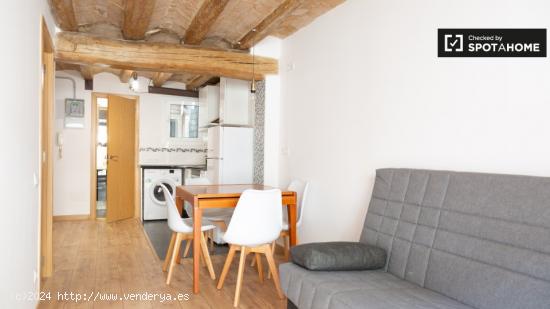 Tranquilo apartamento de 1 dormitorio en alquiler cerca del Palacio Güell en El Raval - BARCELONA