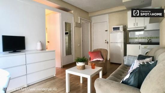 Luminoso apartamento de 1 dormitorio con aire acondicionado en alquiler en Salamanca - MADRID