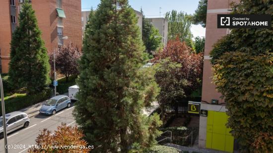 Encantadora habitación en alquiler en apartamento de 4 dormitorios, Hortaleza - MADRID