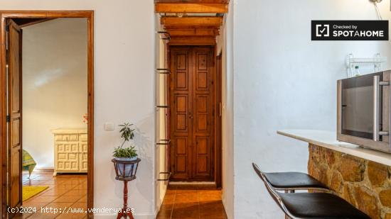 Precioso apartamento de 1 dormitorio en alquiler en Ciutat Vella - VALENCIA