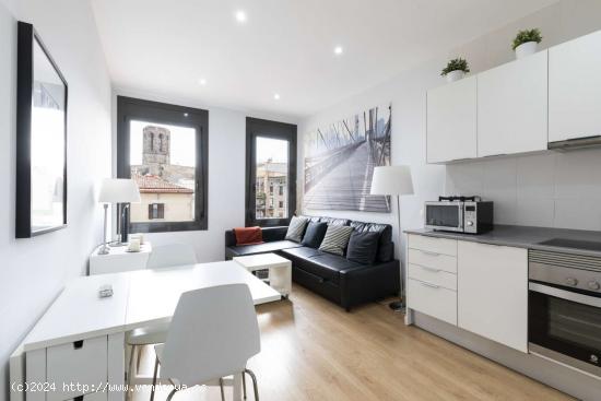  Precioso apartamento de 1 dormitorio en alquiler cerca del metro en el centro de Ciutat Vella - BARC 